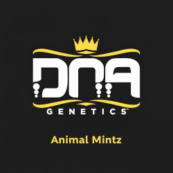 DNA genetic rosin Animil mintz