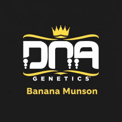 DNA genetic rosin Banana Munson