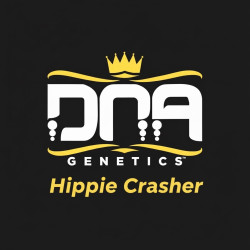 DNA genetic rosin Hippie Crasher