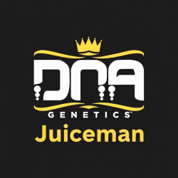 DNA genetic rosin Juiceman