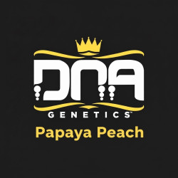 DNA genetic rosin Papaya Peach