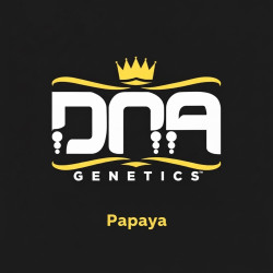 DNA genetic rosin Papaya